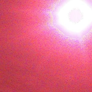 Meet your Posher, Darrell